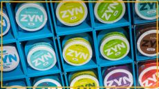 A close up of colorful circular containers labeled "ZYN" in a series of blue cubbies