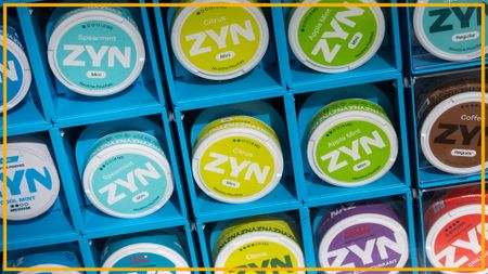 A close up of colorful circular containers labeled "ZYN" in a series of blue cubbies