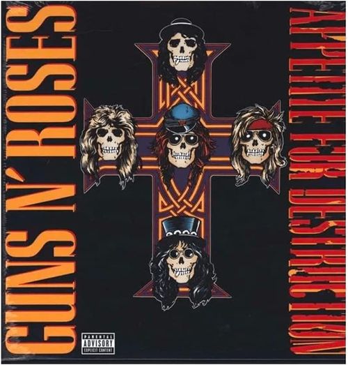 Appetite for Destruction [vinyl]