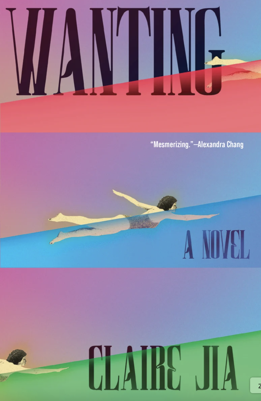 Wanting book cover