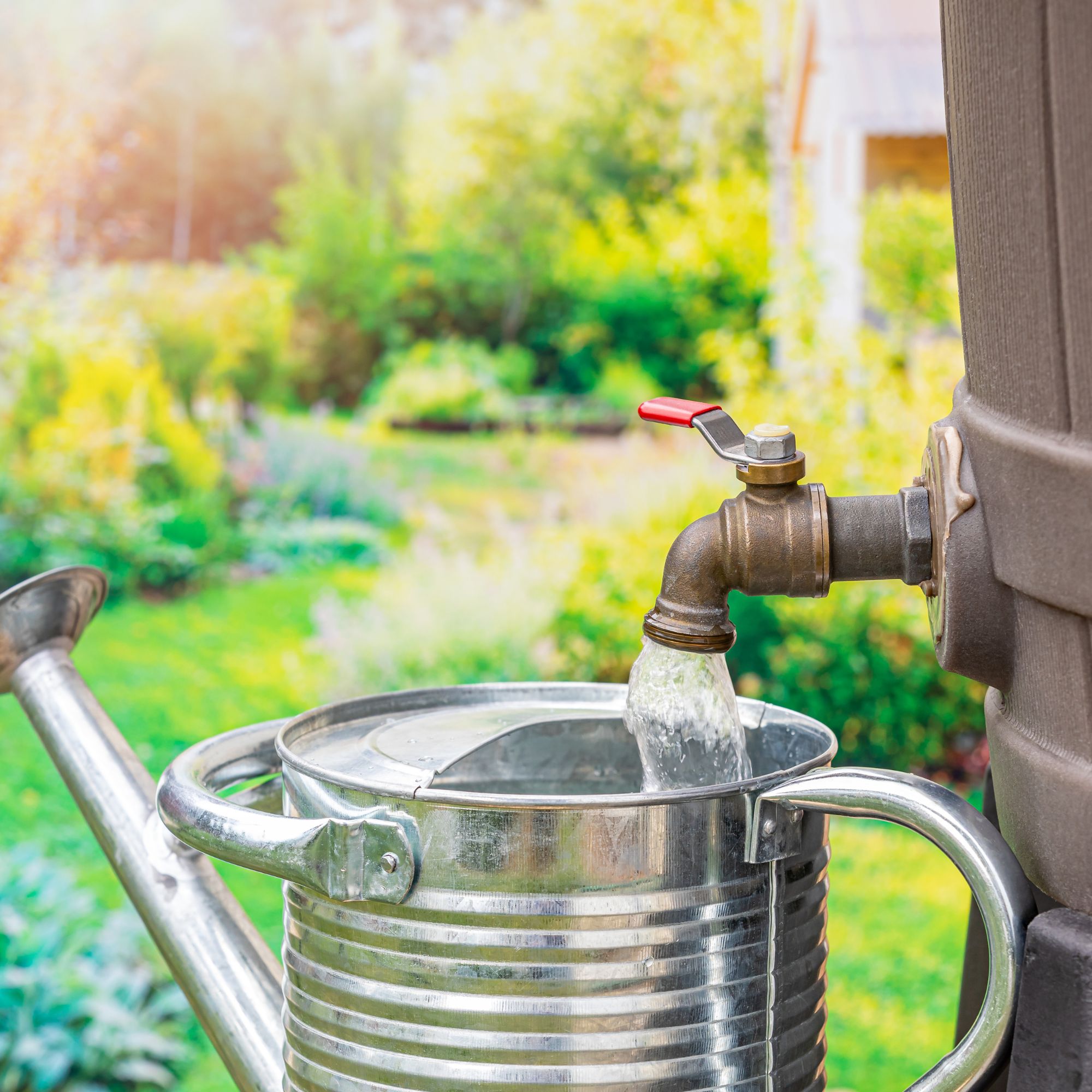water butt and watering can