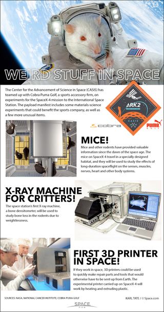 The SpaceX-4 mission to the ISS will carry aboard some unusual items. See how mice, 3d printers and more are riding into orbit in this Space.com infographic.