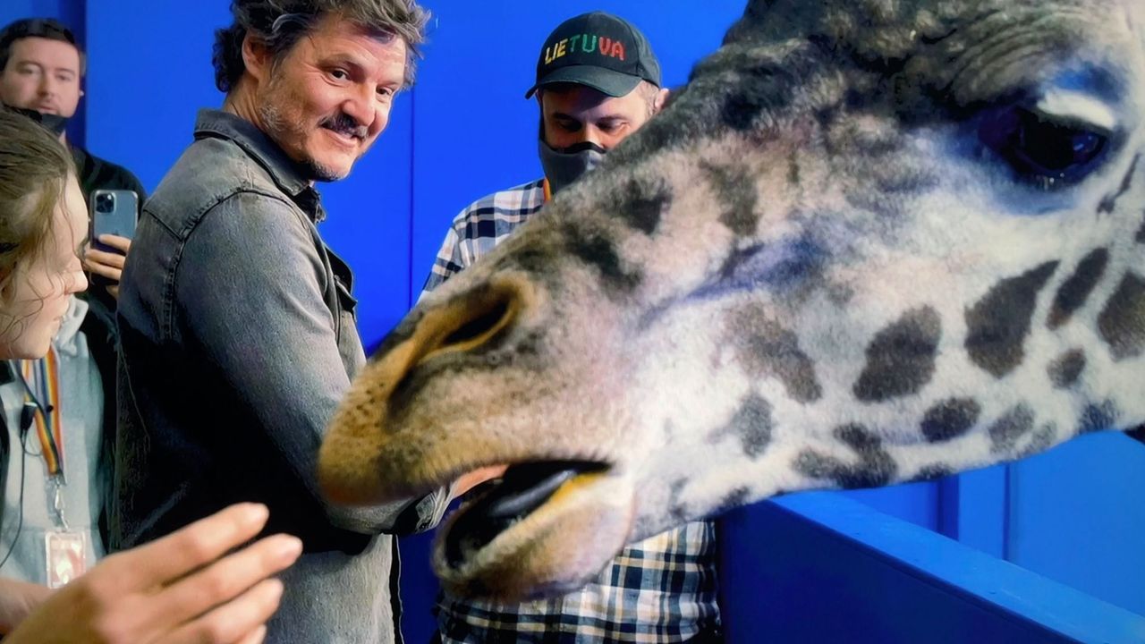 A shot of actor Pedro Pascal stood with a giraffe