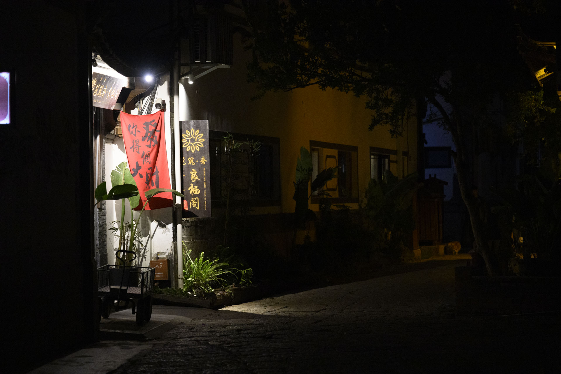 Nikon Z 70-200mm f/2.8 VR S II image gallery: a street scene at night in the Yunnan province of China