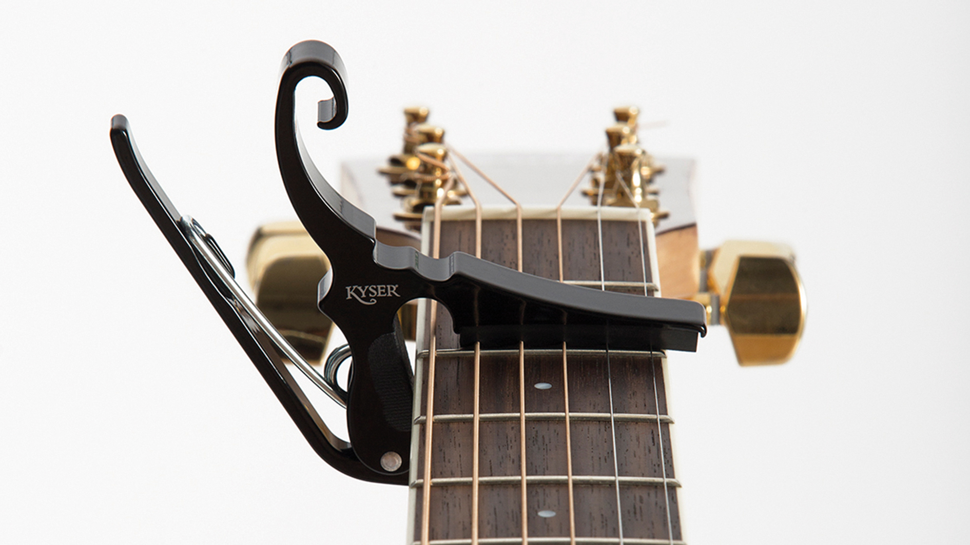 fret paw capo