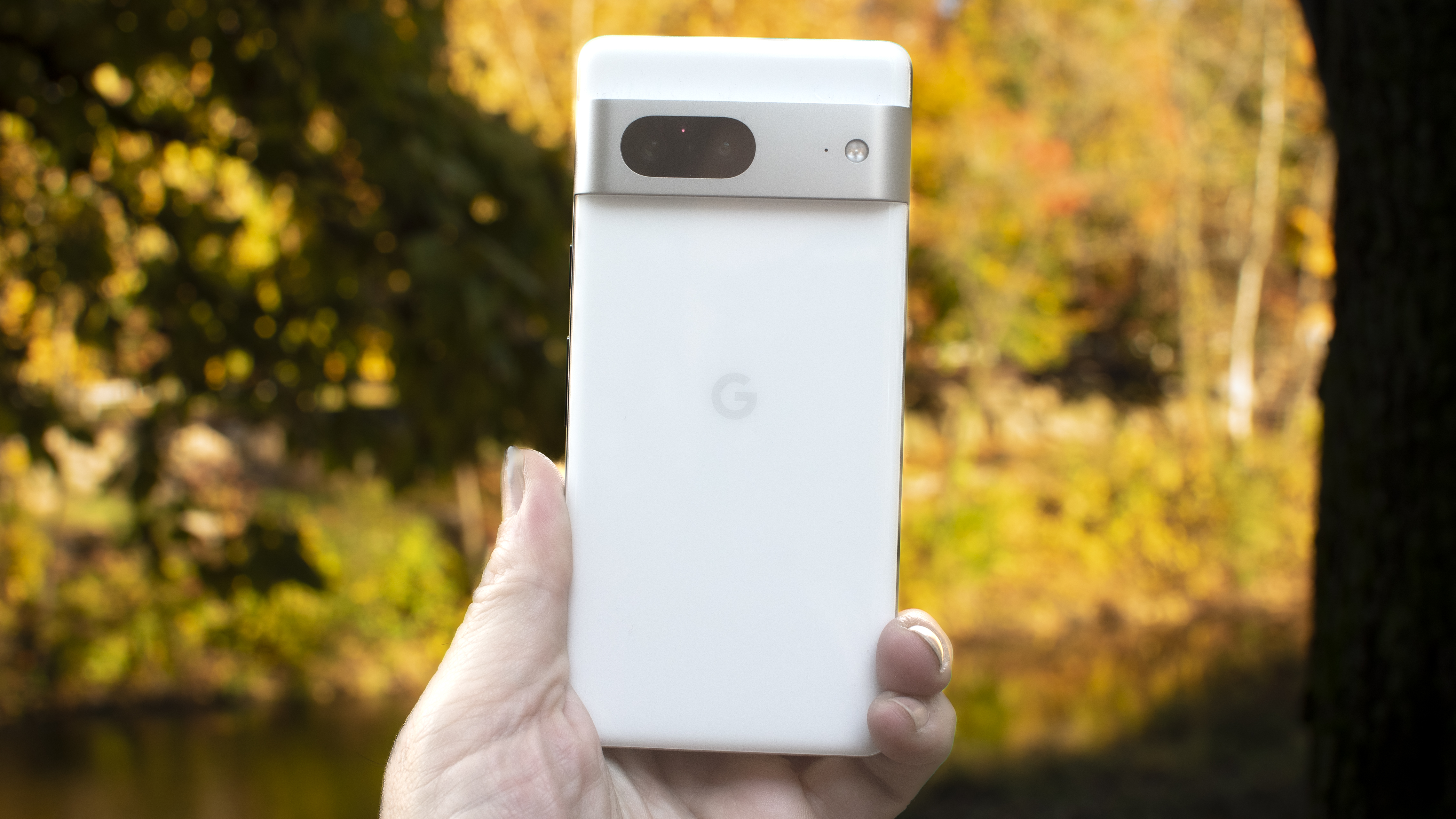 Google Pixel 7 mit Laub im Hintergrund