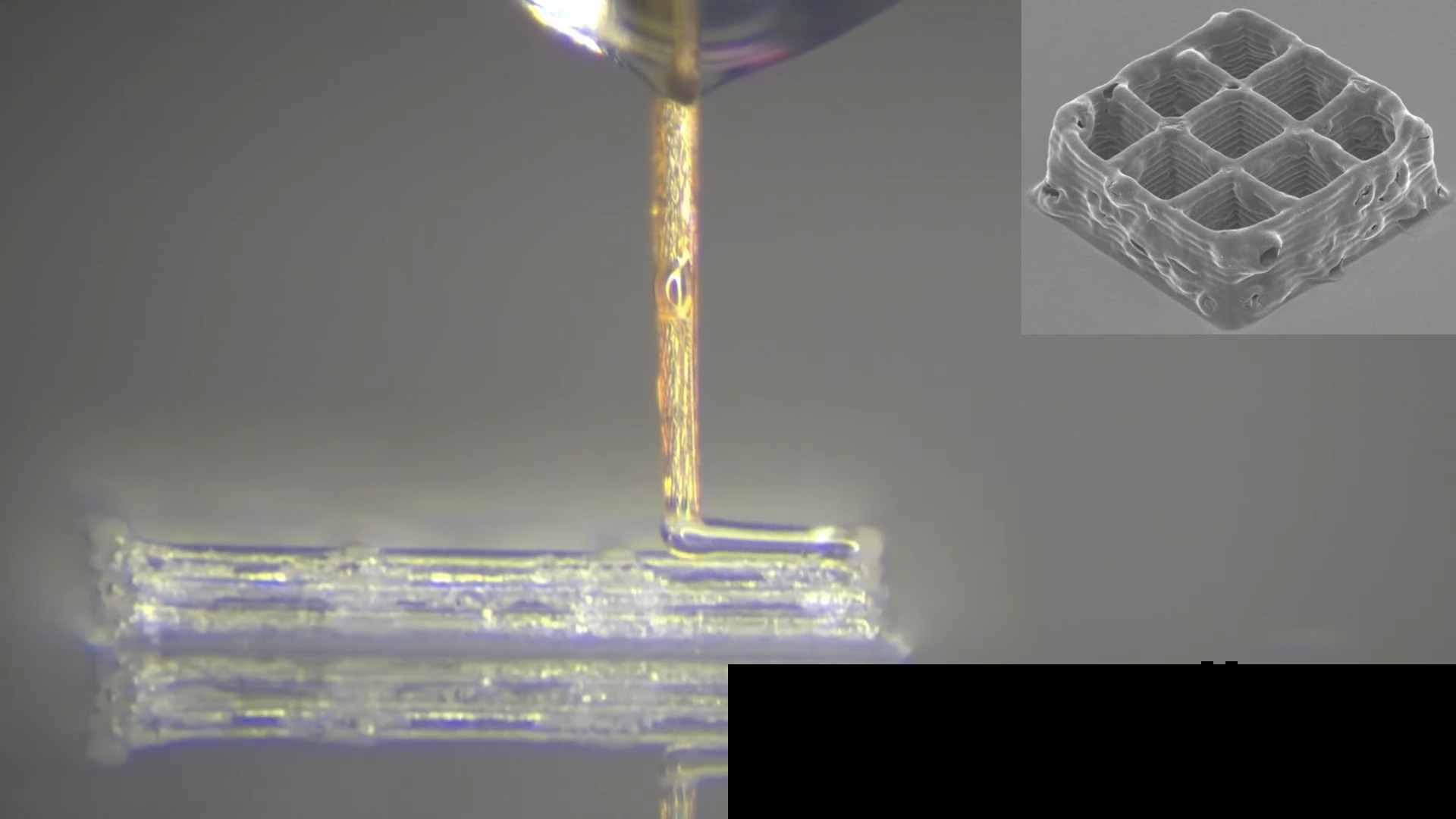 Dead mosquito proboscis used for high-resolution 3D printing nozzle