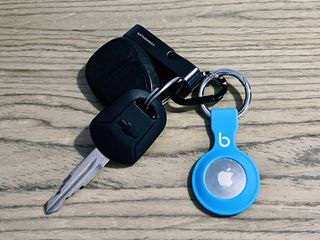Bluebonnet Apple Airtag Case Keychain