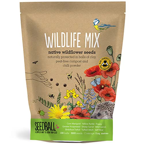 Seedball Wildlife Mix Seed Bombs – 100 Seed Balls Per Pack | Bee Friendly British Wild Flower Seed Mix | Beautiful Coloured Garden Flower Seed Bombs for Bees, Birds & Other Garden Wildlife