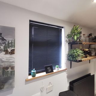 black Venetian blind at window with scaffold board shelves and plants
