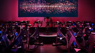 Equinox fitness center goes interactive with massive screens powered by Salable Display Technolo0gies. 