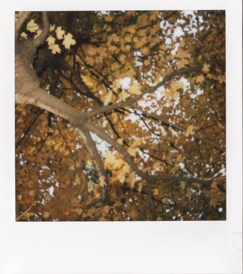 Image samples from the Fujifilm Instax Square 2