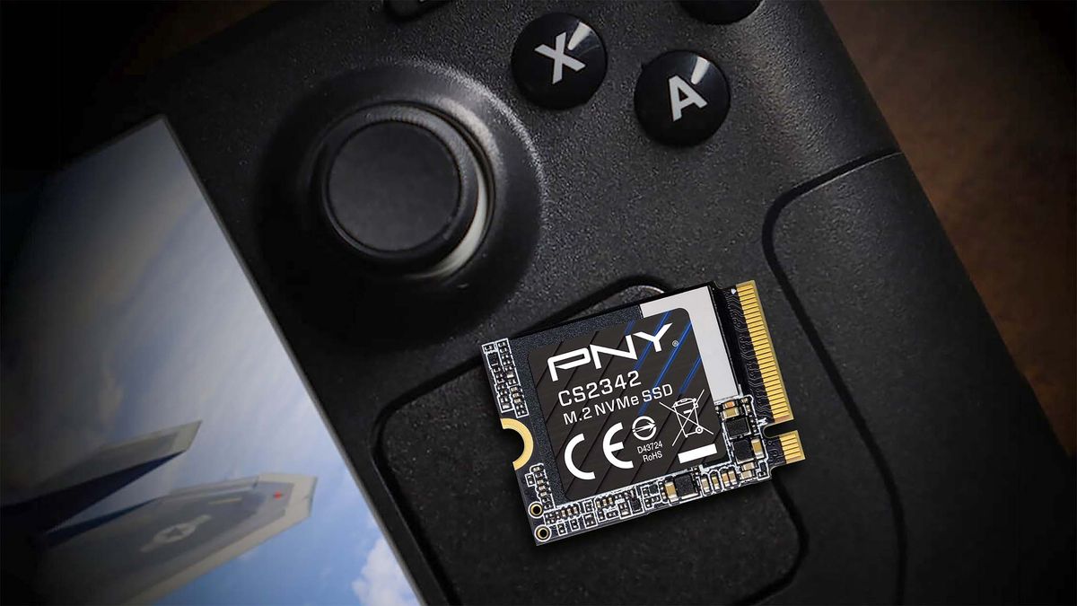 PNY CS2342 SSD on Steam Deck touchpad. 