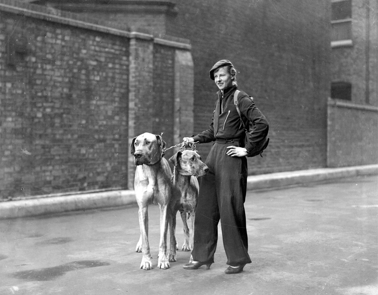 A woman dressed in dark trousers, a beret, and a jumper stands confidently with two Great Danes on leads in front of a brick wall. The dogs stand tall and alert beside her, their size echoing his composed stance.