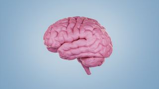Digitally generated computer graphic illustration image of a human brain with a modeling clay texture.