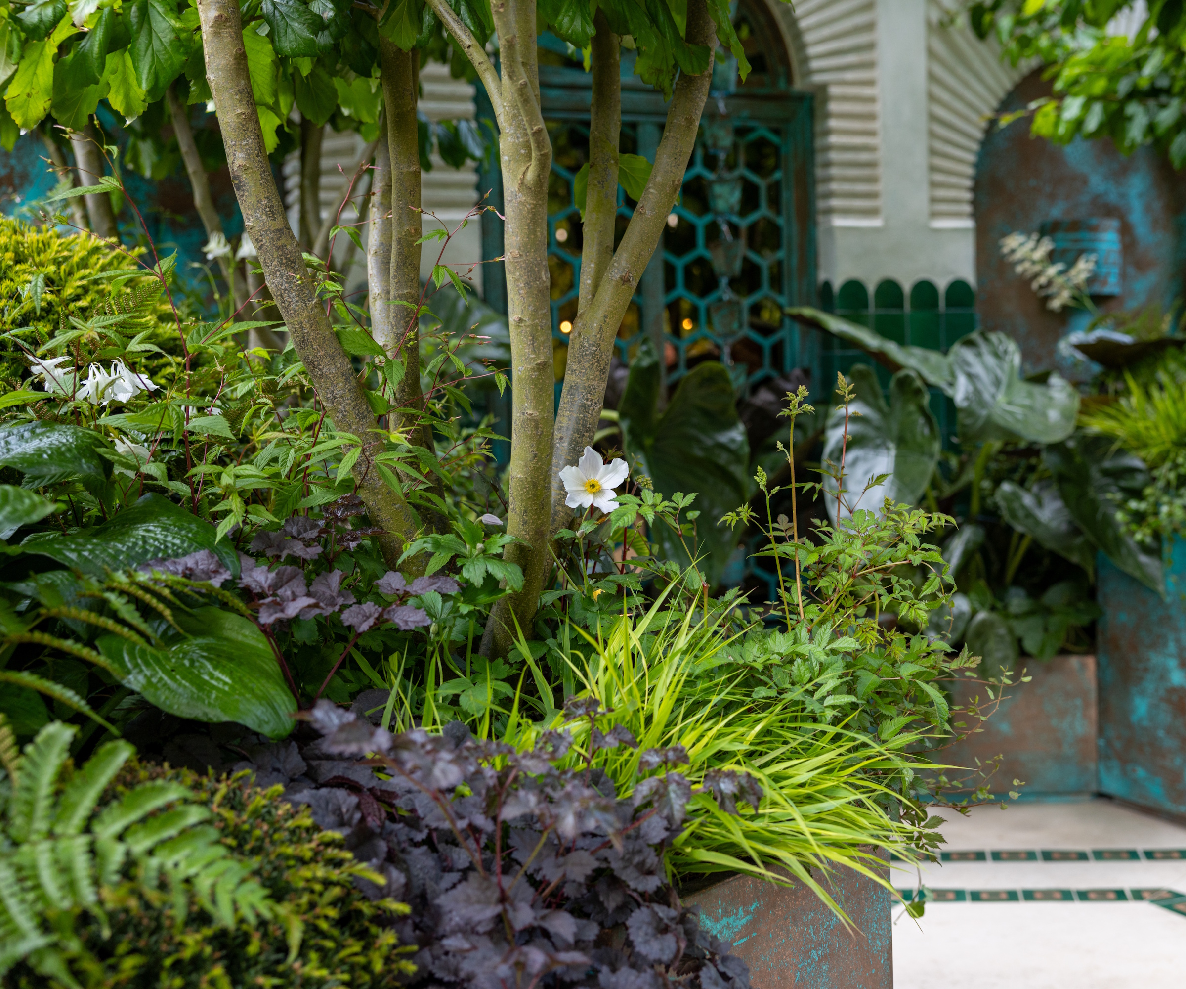 RHS Chelsea 2026 Flood Re container garden