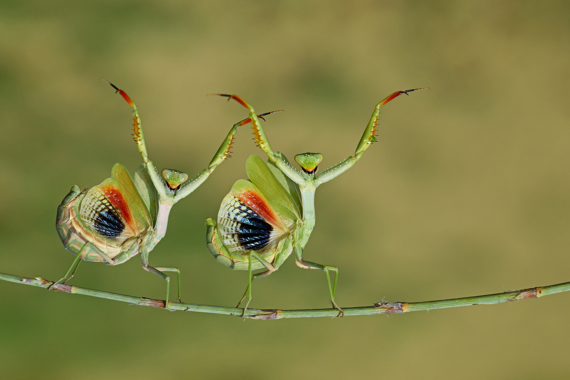 CEWE Photo Award 2025 category winner