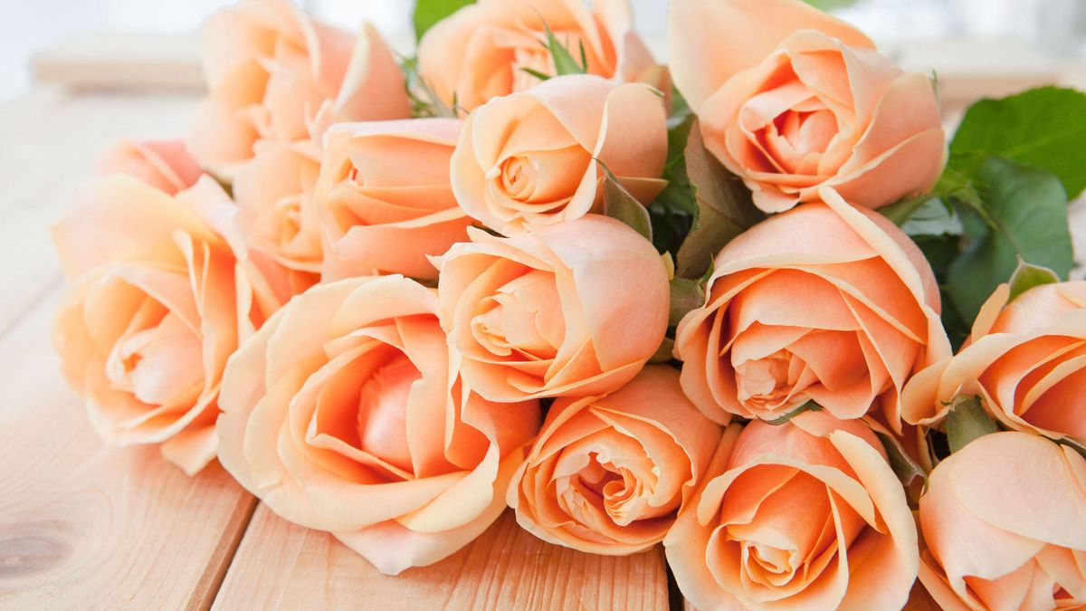 Can You Grow a Rose Bush From a Grocery Store Bouquet? This Trick Suggests You Can Do Exactly That
