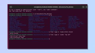 Screenshot showing how to find a file using Linux Command Line - Using wildcards