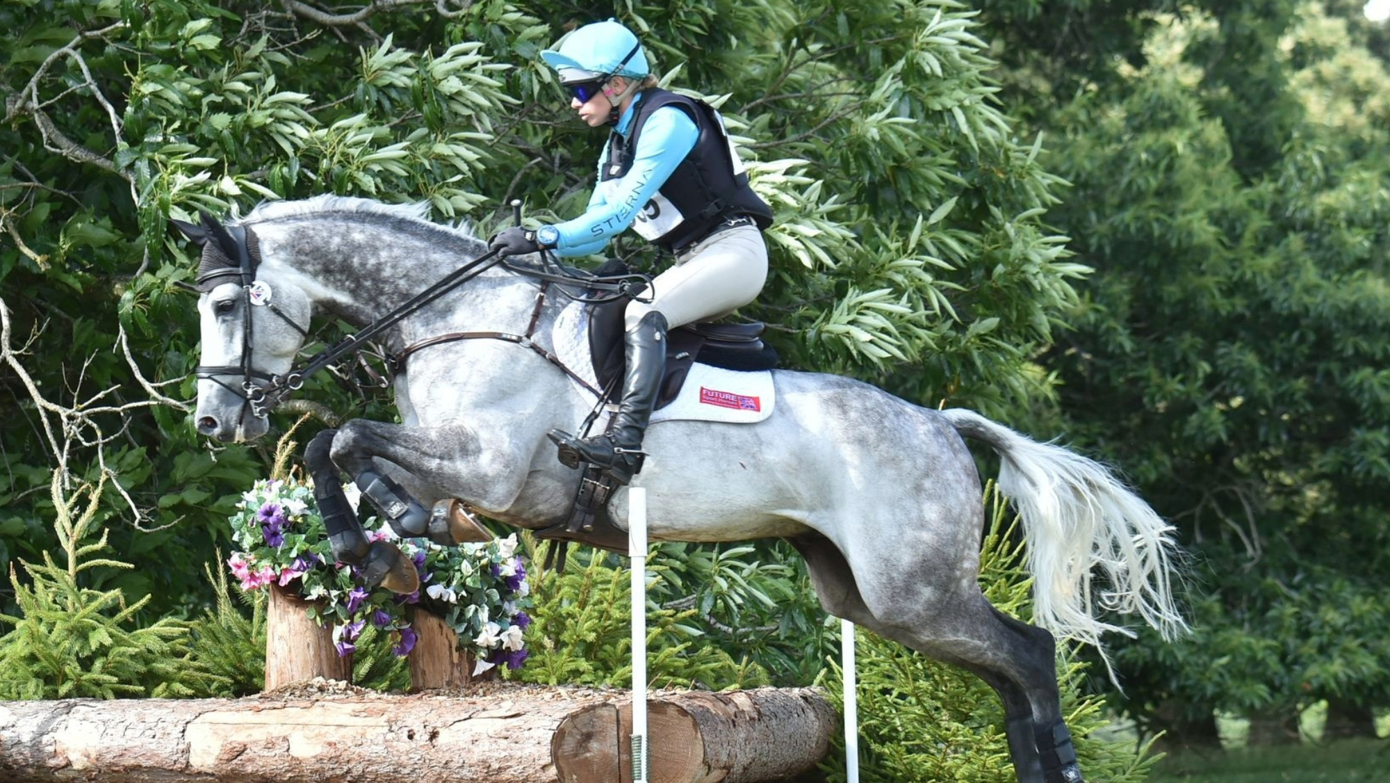 Future Guilty Pleasure Future Guilty Pleasure, AES eventing stallion at stud at Future Sport Horses, East Yorkshire