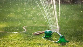 A sprinkler system watering the lawn