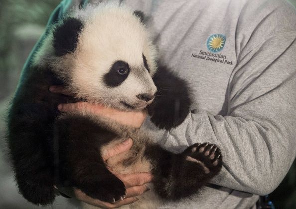 Bei Bei.