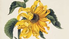 Paintings of Alexander Marshal