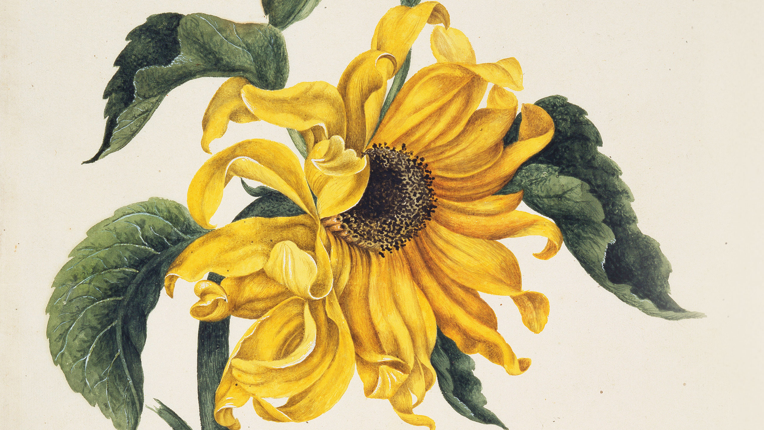 Paintings of Alexander Marshal 