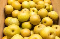 Kosui Asian pears