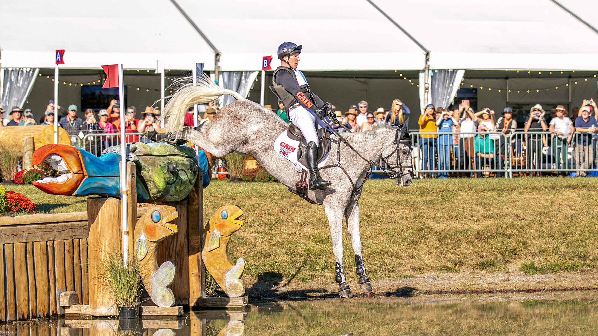 How to watch Maryland 5 Star live: Oliver Townend won the 2024 renewal