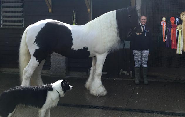 “This is my horse Poacher (Poe) and my dog Sammy” — Georgie Lucas