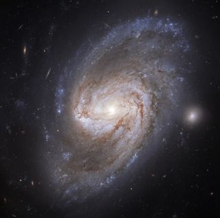This new image from the Hubble Space Telescope features the barred spiral galaxy NGC 3583. Located some 98 million light-years away from Earth in the constellation Ursa Major, NGC 3583 is about three-quarters the size of our Milky Way galaxy. But while the Milky Way has four distinct spiral arms that wrap around its galactic core, NGC 3583 has two long arms that twist out into the universe. Astronomers have observed two supernova explosions in this galaxy, one in 1975 and then again in 2015.