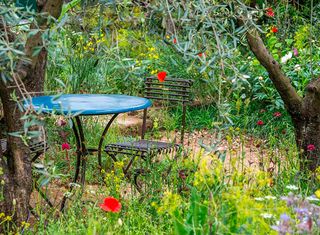 A Perfumers Garden in Grasse by L'Occitane