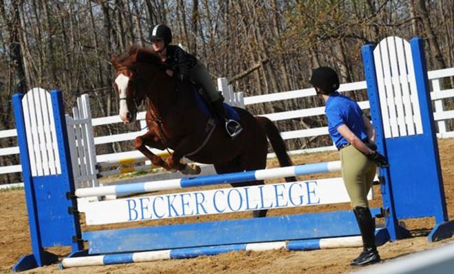 Equestrian team