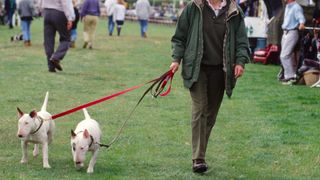 Princess Anne Walking Around Trade Stands With Two Of Her Bull Terrier Dogs At The British Horse Trials Championships At Gatcombe Park In Gloucestershire