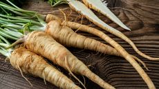 Fresh parsley root on a wooden background