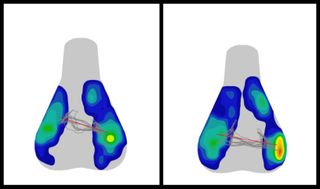 Image shows bike saddle pressure mapping results.