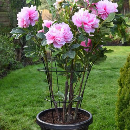 Peony Frame Outdoor Heavy Duty Herbaceous Garden Plant Support Ring for Perennial Flowers Border Cage (2 X Peony Frame)