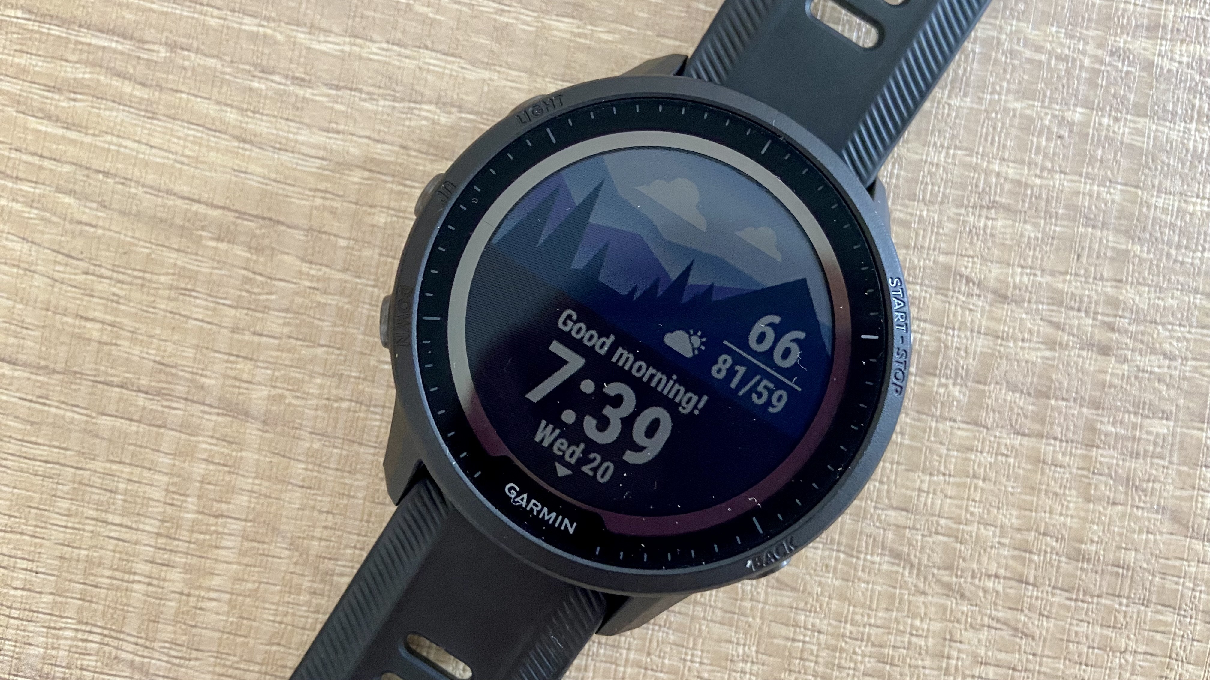 the morning report on the Garmin Forerunner 955