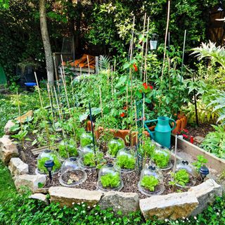 Keyhole garden with lettuces, nasturtium and veg Serge Mouraret / Alamy Stock Photo - 2R4RTCD