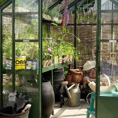 Greenhouse with plants inside