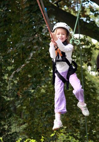 Tree Climbing