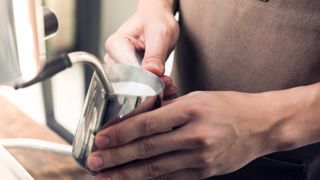 A steam wand being used to texturize milk in a stainless steel jug