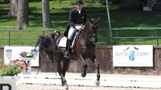 International dressage rider Cesar Parra