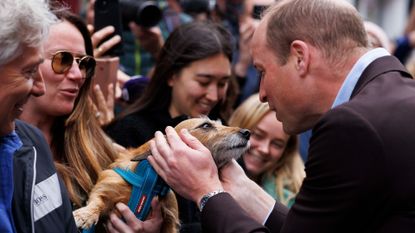 Prince William and Kate Middleton have paid tribute to dogs with a bizarre but touching post 