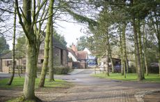 Katie Jerram's yard