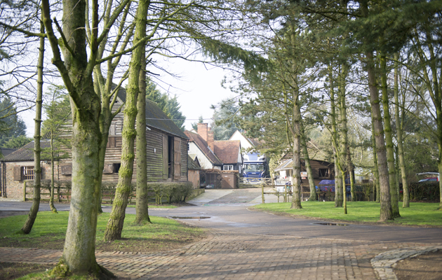 Katie Jerram's yard