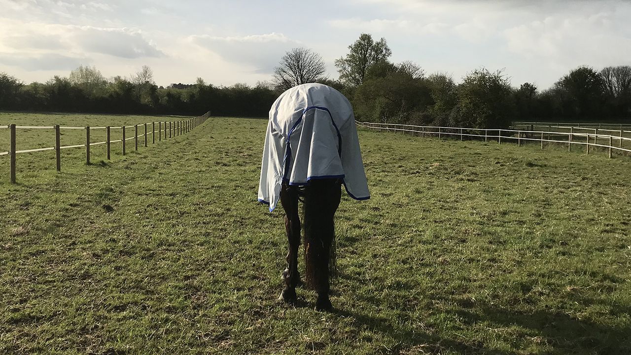 Weatherbeeta ComFiTec 600D/Mesh II Combo Neck fly rug