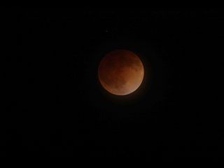 Lunar Eclipse of April 15, 2014, Over San Jose, California