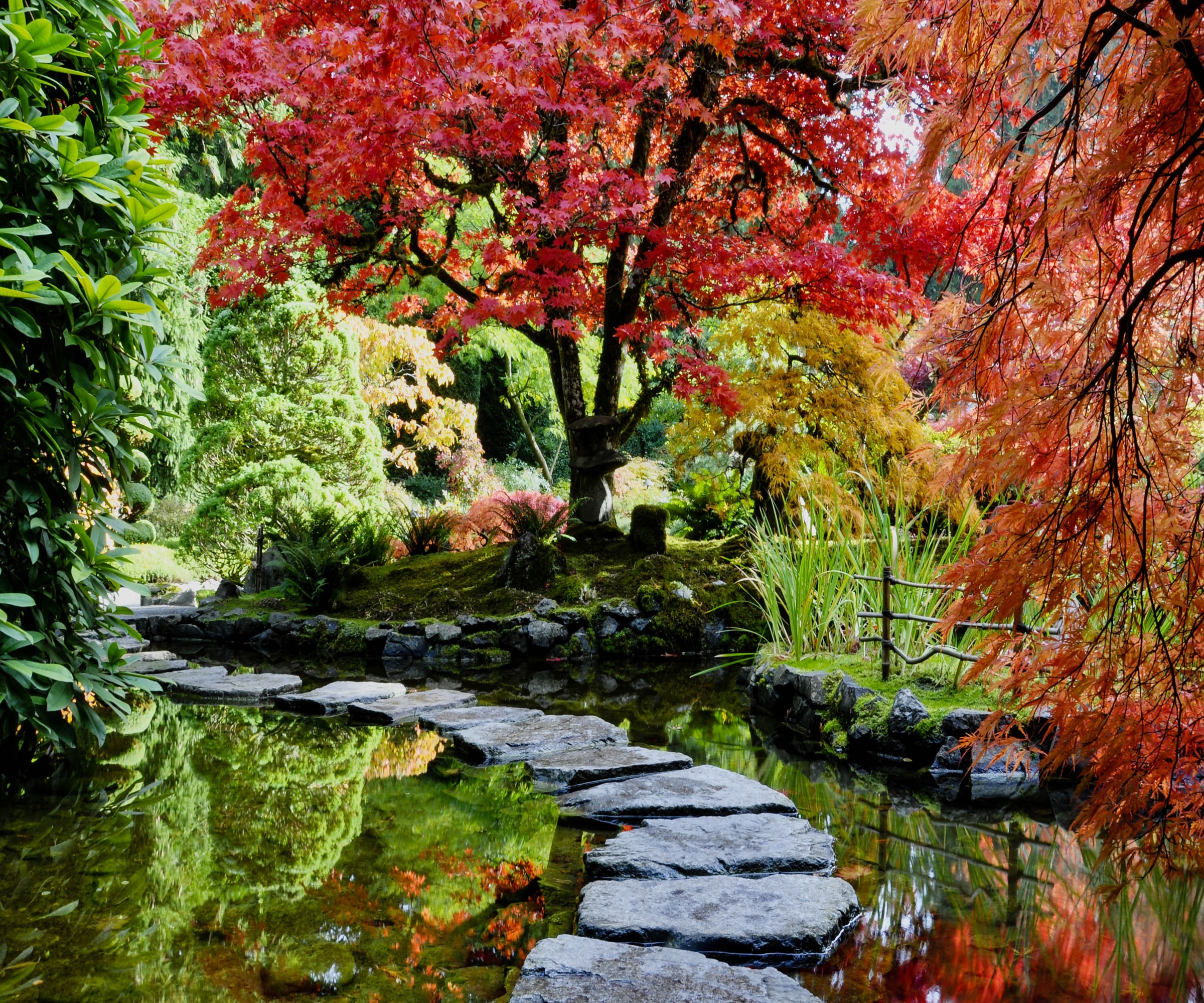 Japanese garden, curving path, stepping stones